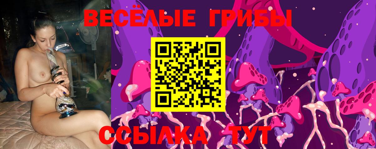 где продают   Галлюциногенные грибы Psilocybe  Вход с VPN  Псилоцибиновые грибы Psilocybine cubensis  Улан-Удэ 