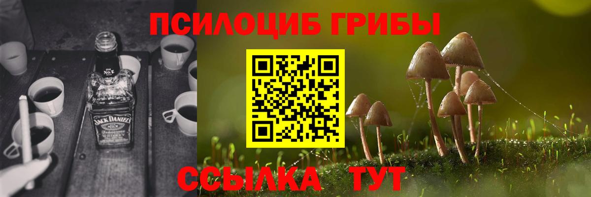 Псилоцибиновые грибы прущие грибы Улан-Удэ